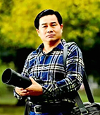 蔡文静