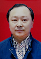 董胡宝