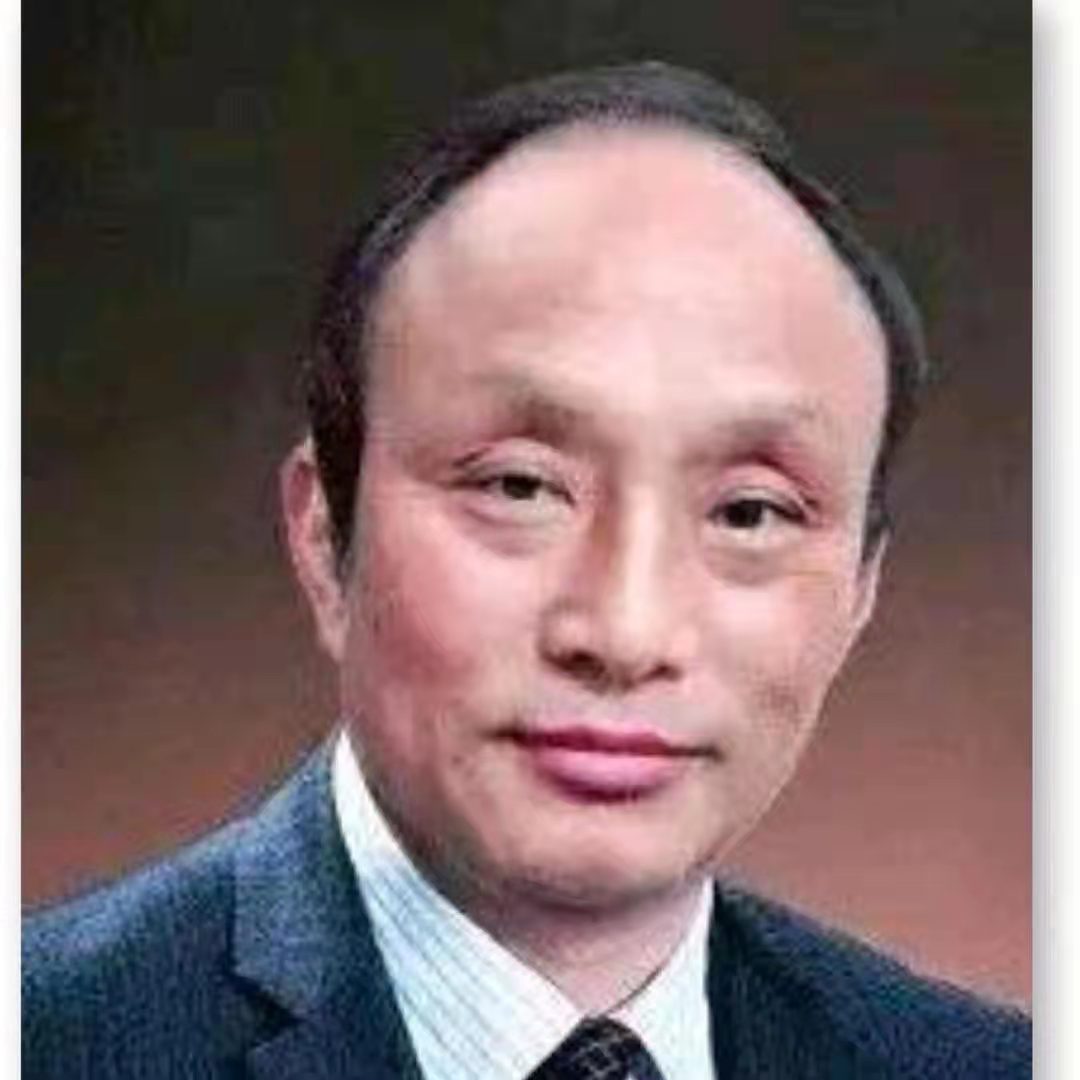 张德进-安徽书画家