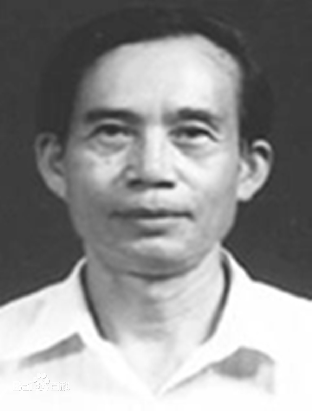 张祯麒-海南书画家