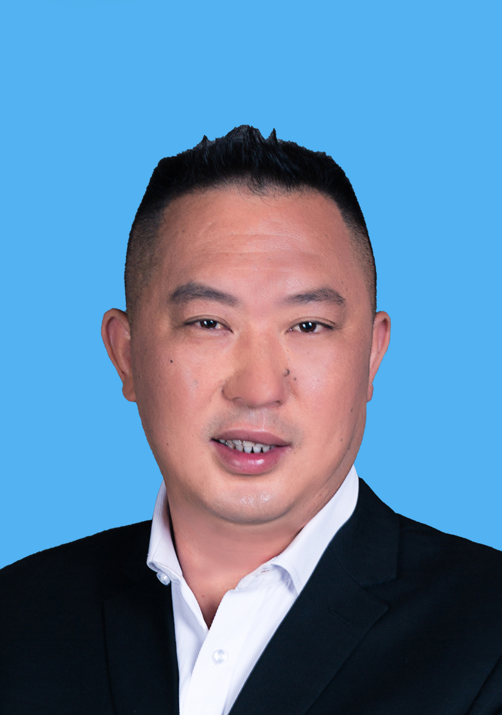 谢永军-安徽书画家