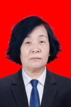 柳珍儿